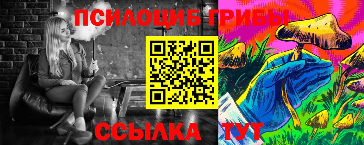 Рузаевка  Псилоцибиновые грибы прущие грибы  где купить наркотик  Вход с VPN 