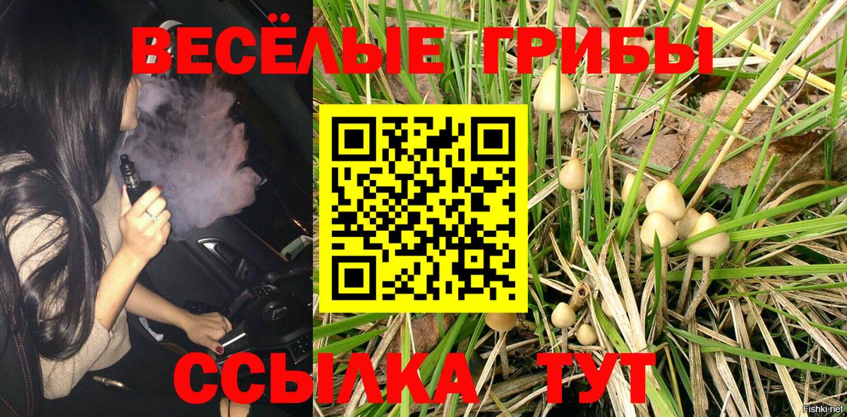 Галлюциногенные грибы Cubensis Рузаевка